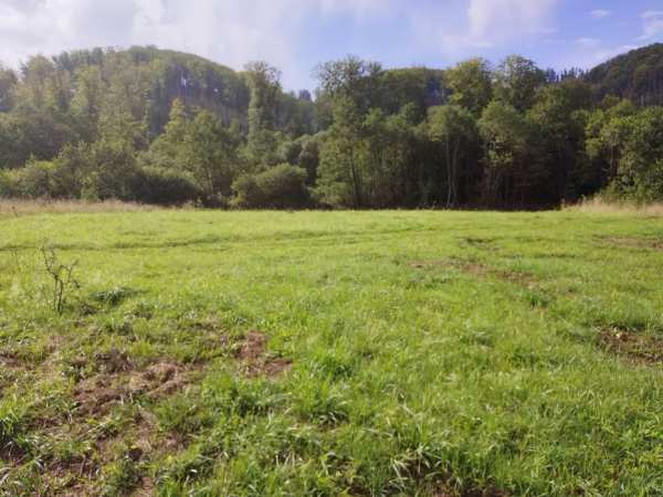 Teren Campu Cetatii zona deosebita 12 arii langa Sovata