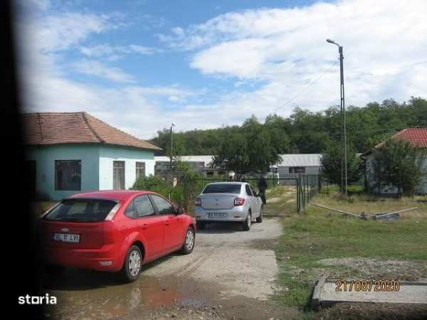 Ferma zootehnica Buciumeni, Dragoesti, Valcea