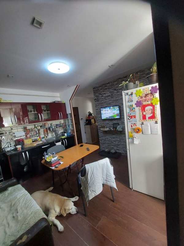 Apartament patru camere