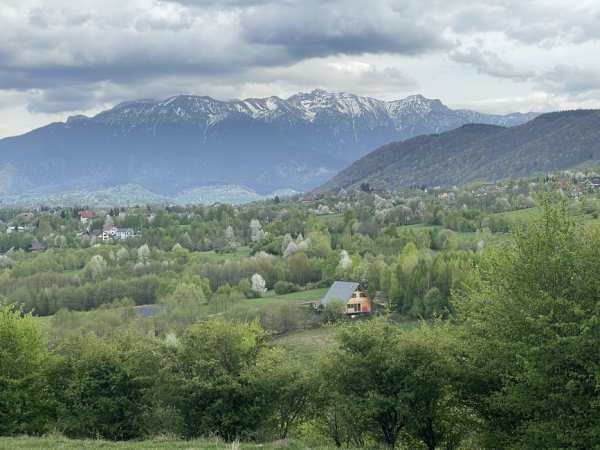 Proprietar teren Bran-Predeluț Tohanița ideal afacere domeniu turistic