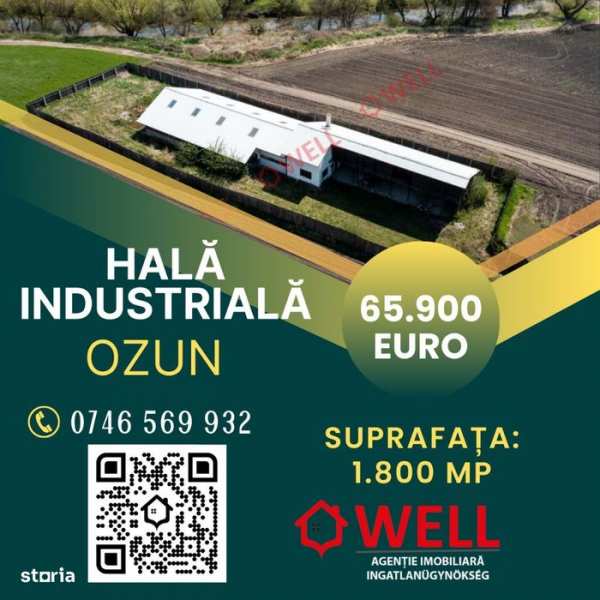 De vânzare hală industrială în Ozun