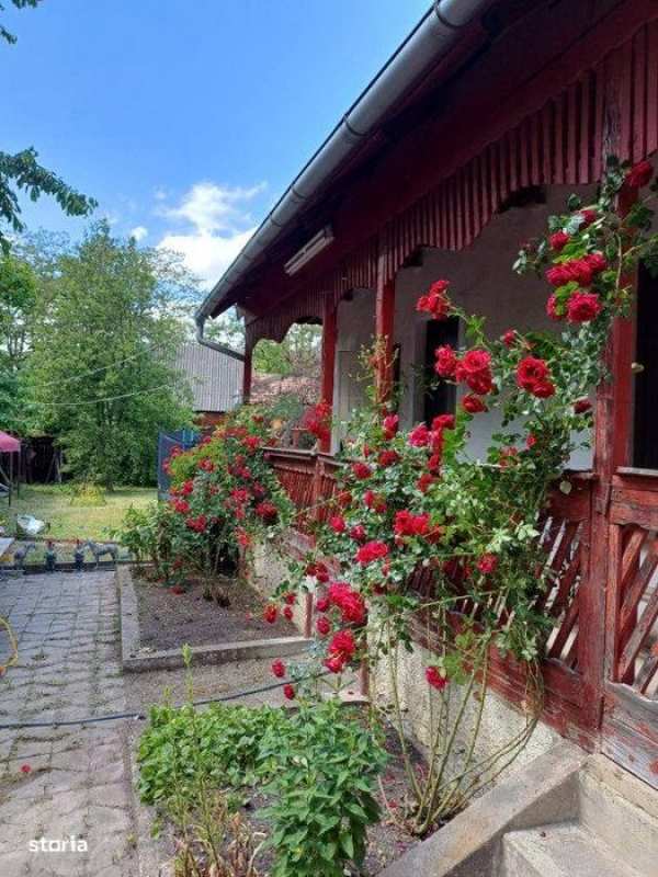 Casa Ilieni, zona centrala, in proximitatea Brasov/Sfantu Gheorghe