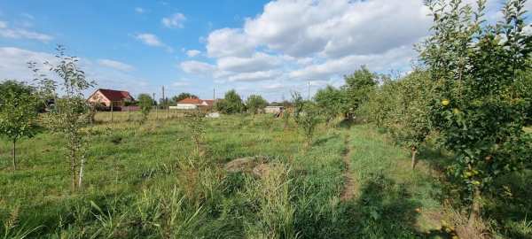 Teren intravilan+ căsuță vând/ închiriez/ schimb.