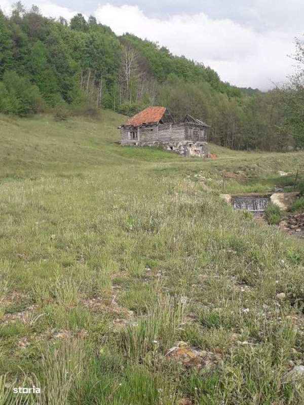 Teren intravilan, 25380 mp, zona Ciucea/Cluj