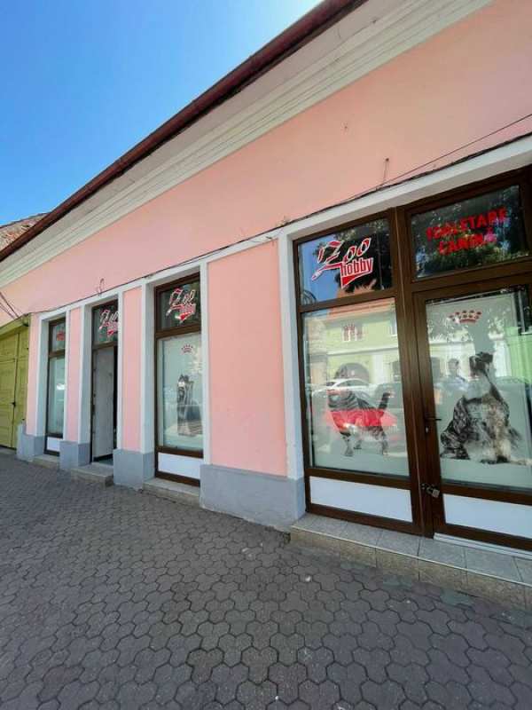 De inchiriat spatiu comercial in zona ultracentrala Bistrita