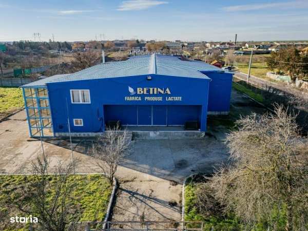 HALA PRODUCTIE ALIMENTARA, Poiana, Ovidiu – 827 mp, teren 4066 mp