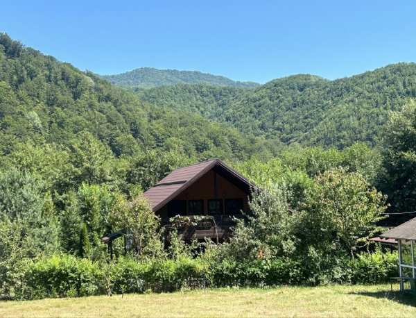 Casa vacanta Parcul National Domogled. Pret pana la 15 ianuarie 2025!!