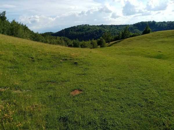 Pe-un picior de plai... vand teren la Tarsa-Luncani, jud. Hunedoara