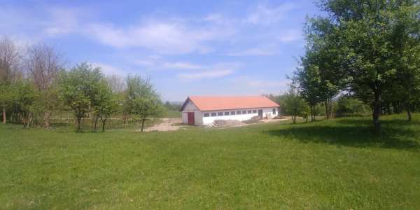 Spatiu industrial, agroturism, camping, ferma, depozit + 7,37 hectare