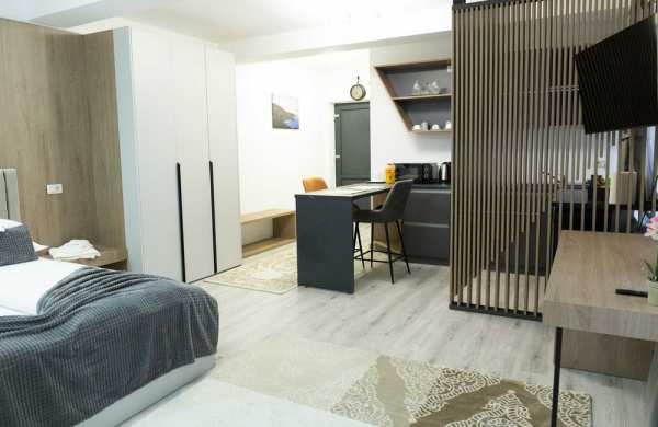 Cazare  Studio Living Bucsoaia