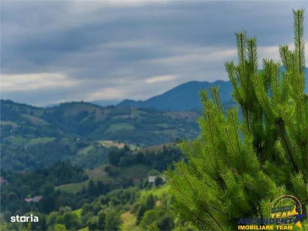 Oaza de liniste si frumusete, reconectare cu natura, 16.000 mp, Poiana