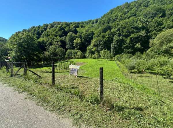 Teren de vânzare în Toplița, 2200 m2