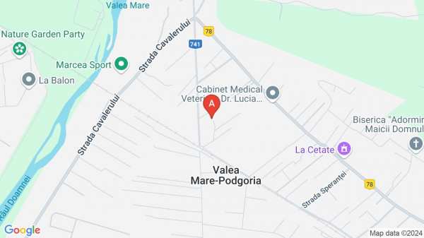 Vind inchiriez vilă în Ştefăneşti Valea Mare St Mori Nr33 