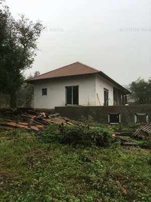 Casa in Tamaseni cu teren 45 arii- 45000 Euro