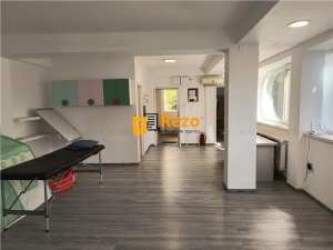 Apartament tip duplex, et. 2+3, Iancului, pentru investitie