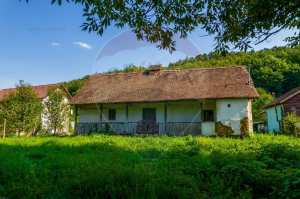 Casa taraneasca + Teren 1061 m2  de vanzare Cladova