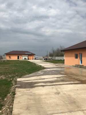 Casă, Teren Generos și Spațiu Productiv în Inima Sudului României