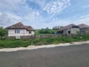 De vanzare casa plus teren 70 arii, Bala, Jud Mures