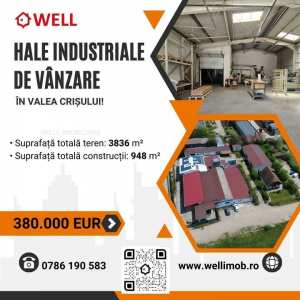Hale industriale de vânzare în Valea Crișului!