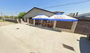 Spatiu comercial si Vila P+1 de vanzare in Comuna Cosereni, jud.Ialomita, 50 km
