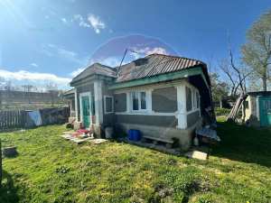Casa si teren 6600 mp Deleni, Stefan cel Mare