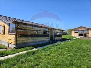 De vanzare Casa de vacanta in com Gogosari, Giurgiu