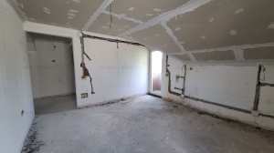 Duplex Carpinis