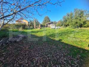 Proprietate Unica: Casa Cu Livada, Relaxare si Investitie