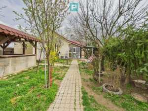 Casa de vanzare in Adunatii Copaceni Confort accesibilitate