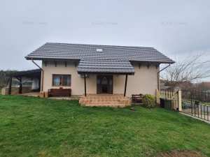 Oaza de liniste in Sacadat, teren generos de 3262m2-132.000 euro neg