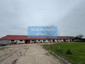 Proprietate industrială de vânzare sau închiriere - Comuna Frăteşti