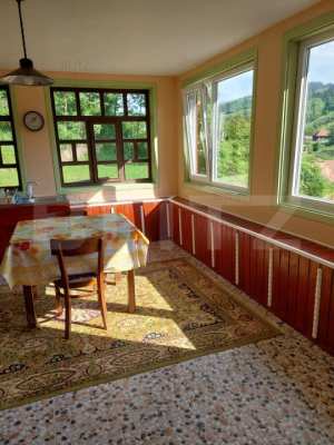 Casa la munte, 5 camere, 4800 mp teren, zona Ocolis