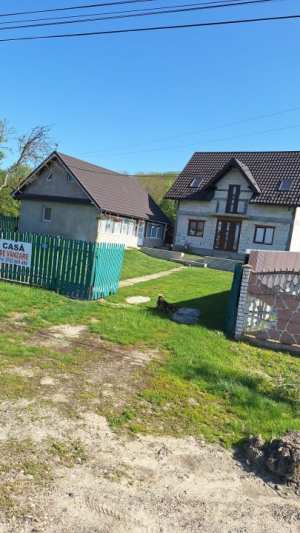 Două case la preţ de 79.000 de euro Cristeşti 707145