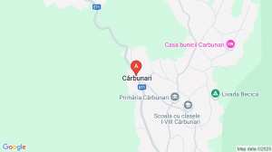 Proprietate De Vânzare în Caraş-Severin