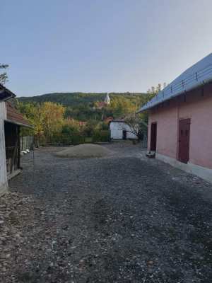 De vânzare casa cu gospodărie şi grădină