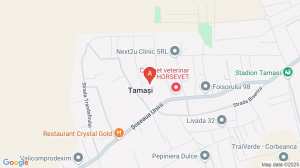 Vila tip duplex 5 camere corbeanca