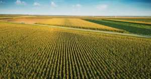 Teren agricol comasat- 300ha- jud satu mare- 10500 euro/h...