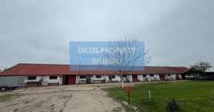 Proprietate industrială de vânzare sau închiriere – ...