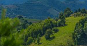 10.335 mp imobil, splendoare si regasire in mijlocul natur