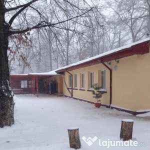 Imobil 11 camere, 12, băi, 7900 mp teren bănești