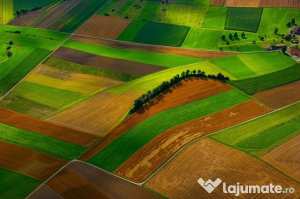 Vând terenuri agricole - extravilan localitatea cerna, județ timiș