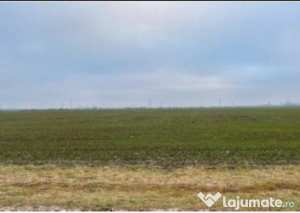 Teren extravilan cerna, id: r2581973