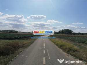 Teren gruiu nuci 15300 mp la sosea langa sat