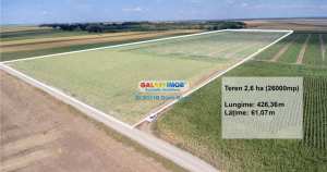 Teren agricol extravilan 2.6 ha - 26.000 mp - valcelele, buz