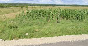 Teren de vanzare dragomiresti dambovita /negociabil
