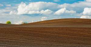 Teren agricol comasat- 51 ha cu cf - jud sm carei- 12.900...