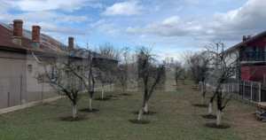 Teren 1000mp, brazi /prahova, deschidere 15m