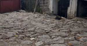Casă țărănească situată în calugăreni, 2 corpuri