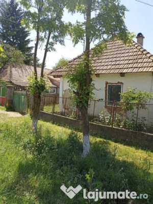 De vânzare casa particulara în satul borosneu mic.