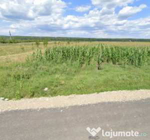 Teren 3200mp dragomiresti dambovita /negociabil